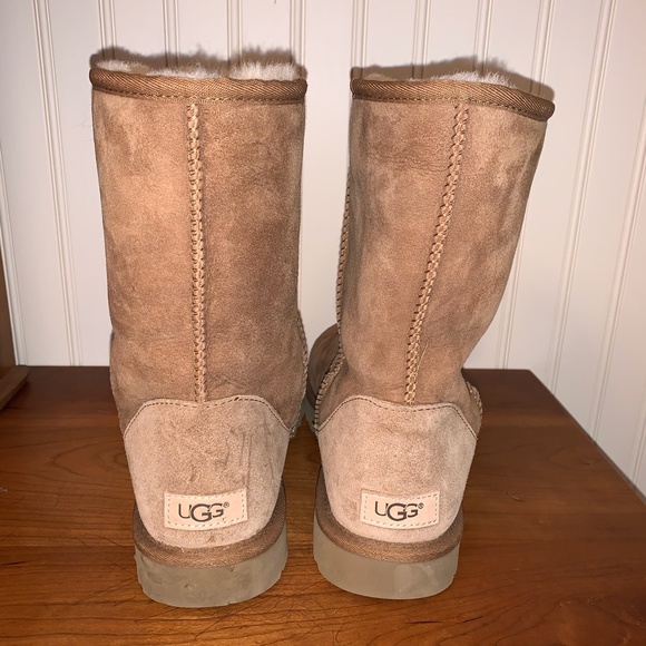 UGG Chestnut Classic Short Boot Sz.12 Women Sz.10 Men US 43 EU $190 - Picture 6 of 8